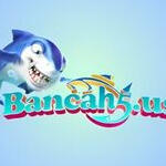 bancah5us